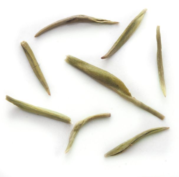Datei:Single-Leaves.jpg